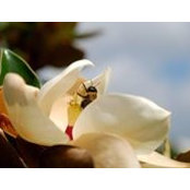 Carla Ratliff's photo