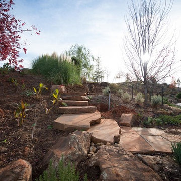 Landscape Project - Norman OK