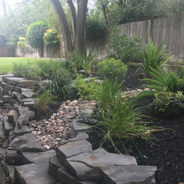 Back Yard Makeover