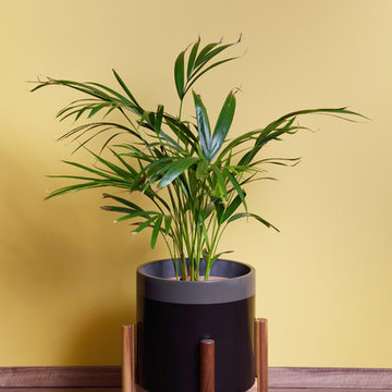 Corian set in midcentury modern style