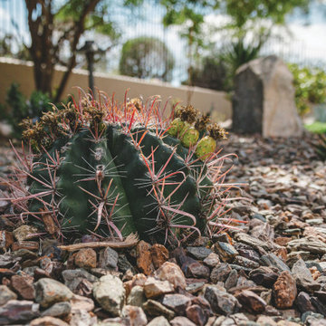 Sustainable Desert Serenity in Scottsdale