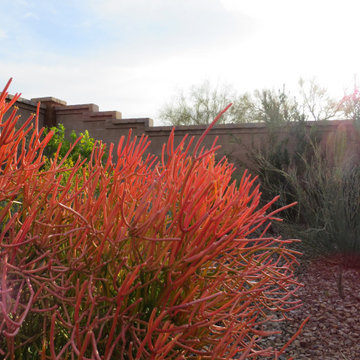 Southwestern Backyard Landscape - Mesa, AZ