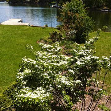 Lake near Fredericksburg, VA: Plant&Sustain for Clean Water