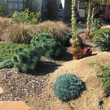 Bermed front yard