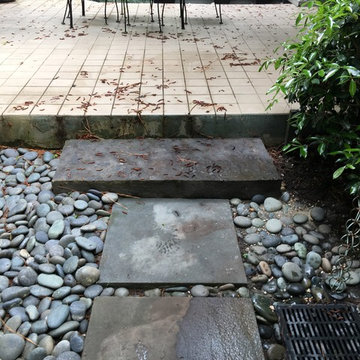 Shaded Asian Garden