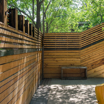 Magical backyard oasis in the city