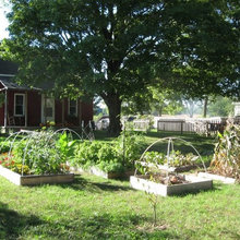 Homesteading in North America: Minimalistic, Sustainable Living