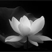 Patricia Drum's photo