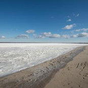Kim Brittingham's photo
