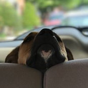 Dana Edwards's photo