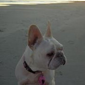 Glenda La Rue's photo