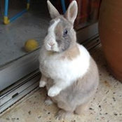 Patricia Isa Beugnot's photo