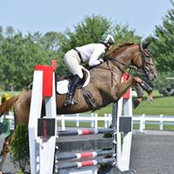 Amelia Bayer's photo