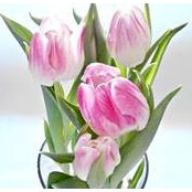 Vicki Smith-Drysdale's photo