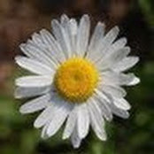 Amy Ferguson's photo