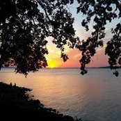 Penny Johns's photo