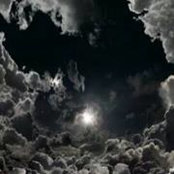 Laura Stiles's photo