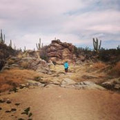 Lisa Hartling's photo