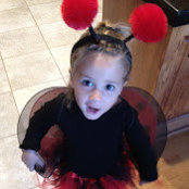 Susan Grant's photo