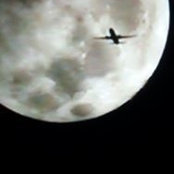 Debbie Joines's photo