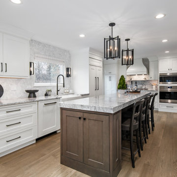 Kitchen Remodel Burr Ridge