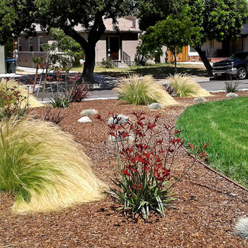 Front Yard Landscaping