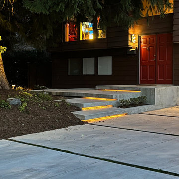 Undermount lighting on the steps and spotlight uplight on the cedar