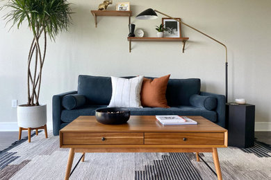 Trendy living room photo in Austin