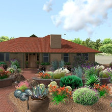 Xeriscaping