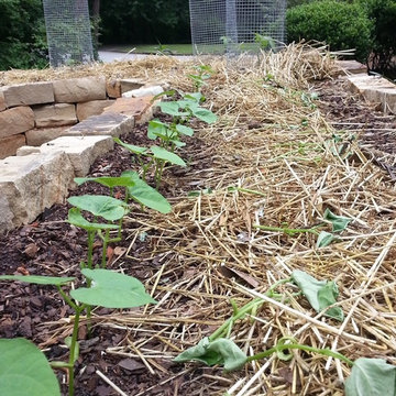 Rock Raised Veggie Garden Bed