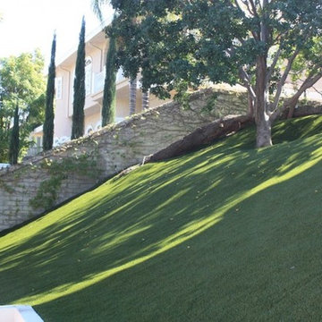 Turf