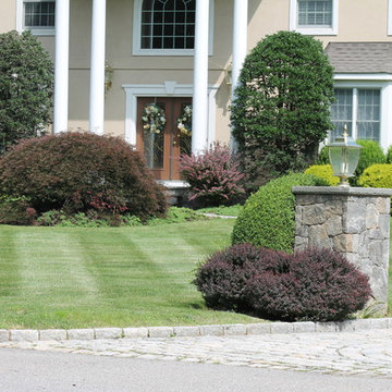 Landscape Design