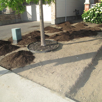 Barrhaven - Front Yard & Side Yard Landscaping