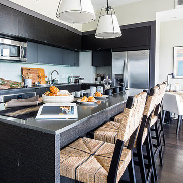 Penthouse Decor in Bethesda