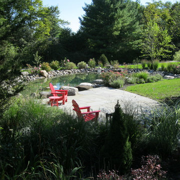 Shelburne Natural Swimming Pond