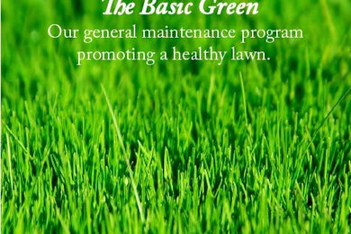 The Basic Green