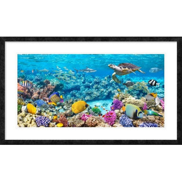 "Sea Turtle and fish, Maldivian Coral Reef"  by Pangea Images, 44x26"