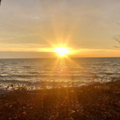 C Pickard's photo
