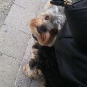 Elfi Leesemann's photo