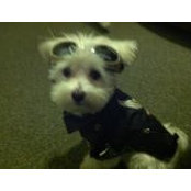 Helene Strazza's photo