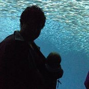 Robin Pelc's photo