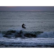 Taylor Rambo's photo