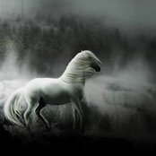 Mariem Mamdouh's photo