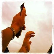 Jessica Kovach's photo
