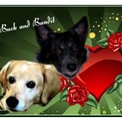 Candy Driskell's photo