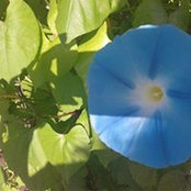 Kimberly Moore's photo