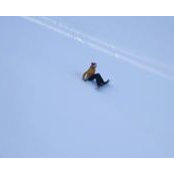 Isobel Watts's photo