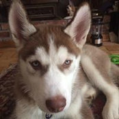 Adam Merone's photo