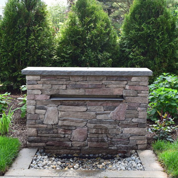 A Tranquil Backyard
