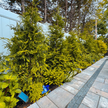 Complete Outdoor Experience – Pool to Firepit